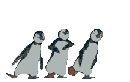 3-pingouins-danse.gif